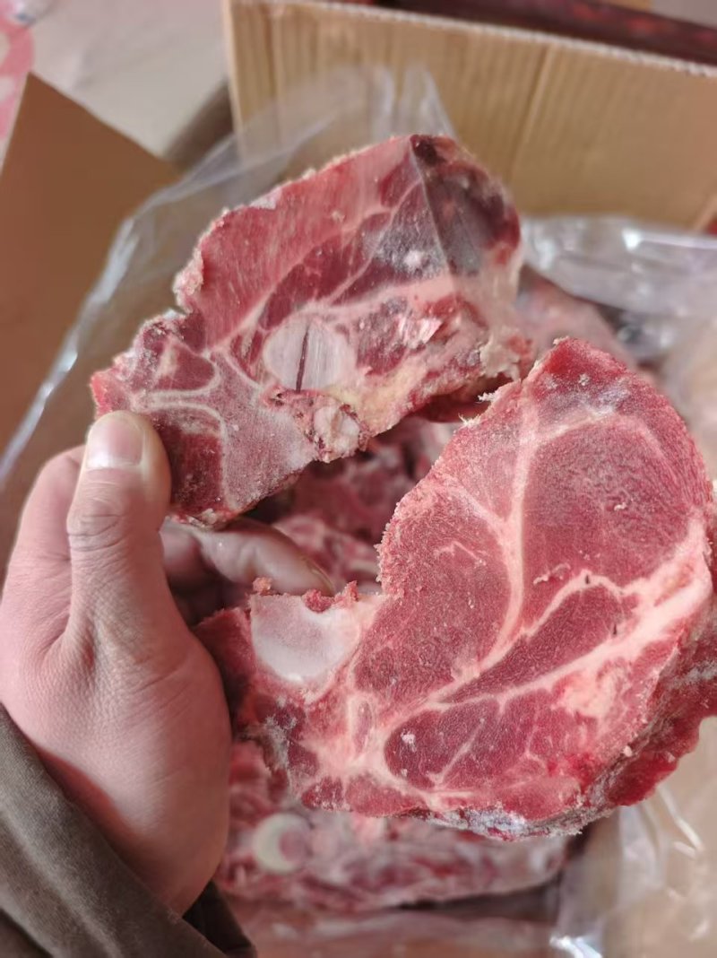多肉胫骨块梅花骨工厂直发量大从优