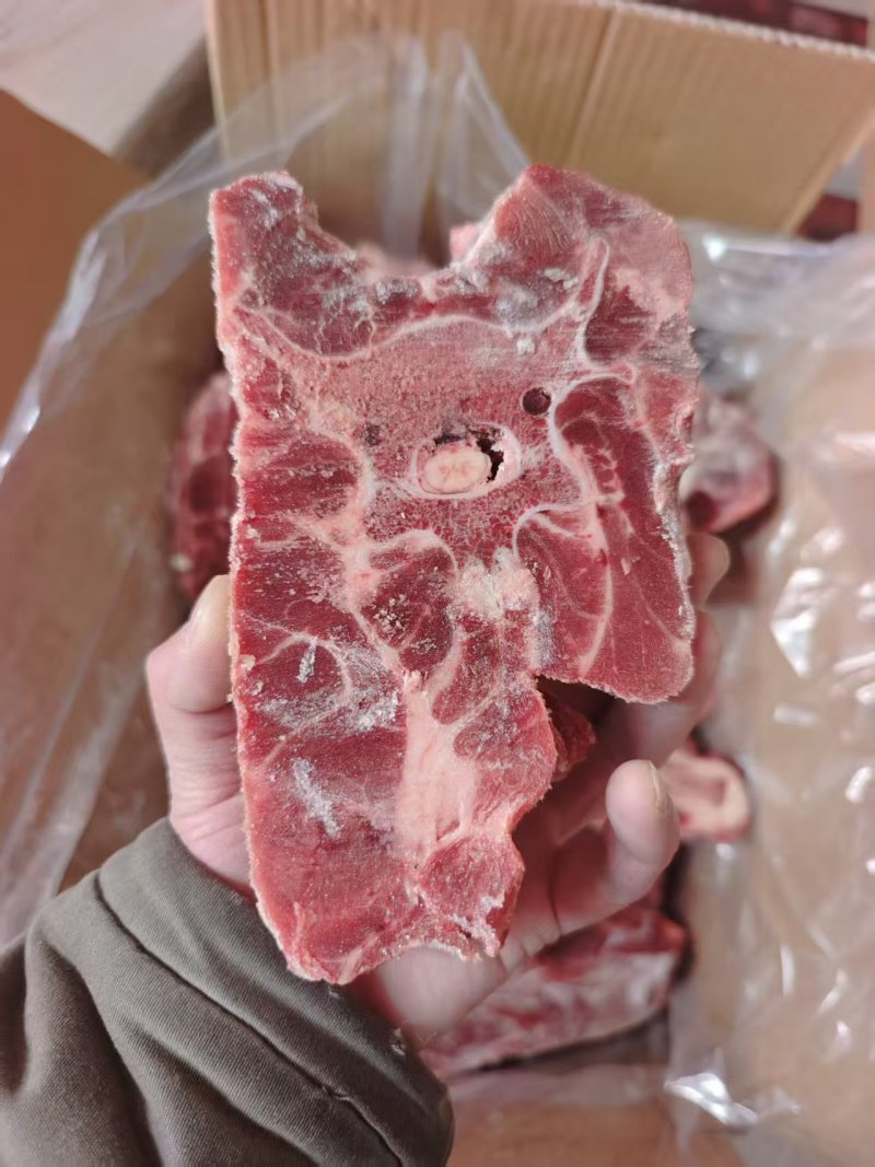 多肉胫骨块梅花骨工厂直发量大从优