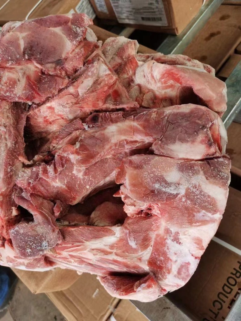 多肉猪胫骨工厂直发量大从优