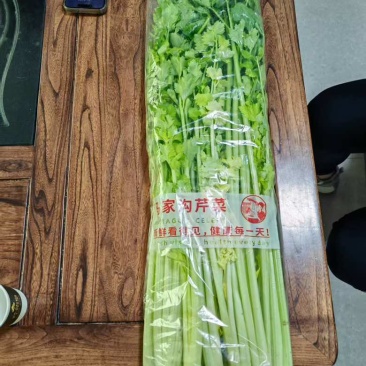 山东马家沟芹菜