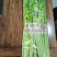 山东马家沟芹菜