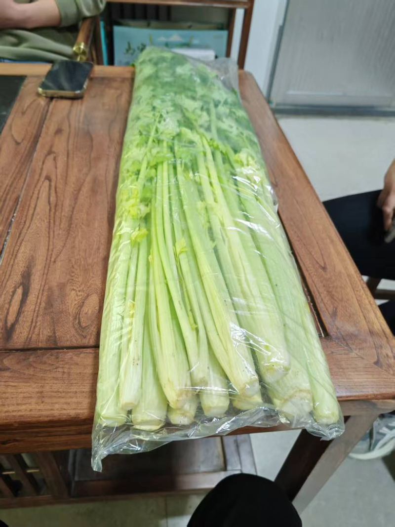 山东马家沟芹菜