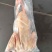 原材料工厂直销供应资质齐全量大优惠新货！新货！新货！