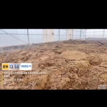 牧原脱水发酵猪粪