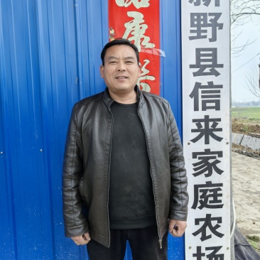 河南省，南阳市牛羊草料