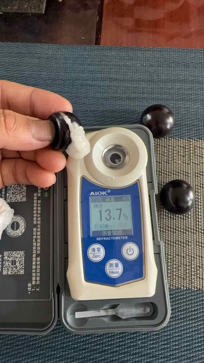 树葡萄，嘉宝果，5克起有数量了