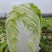 东阳大白菜