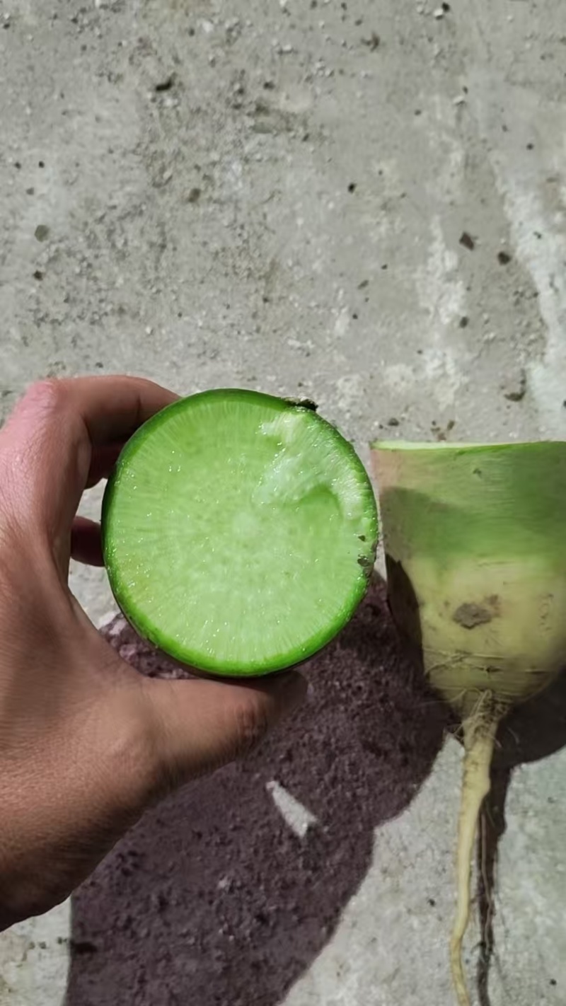 甜脆青萝卜