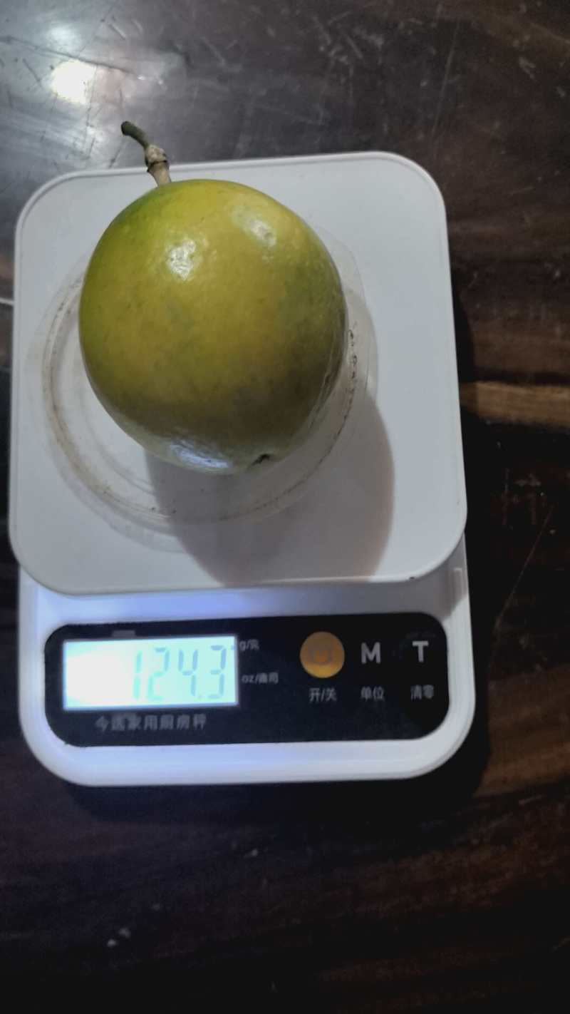 精品特大果
