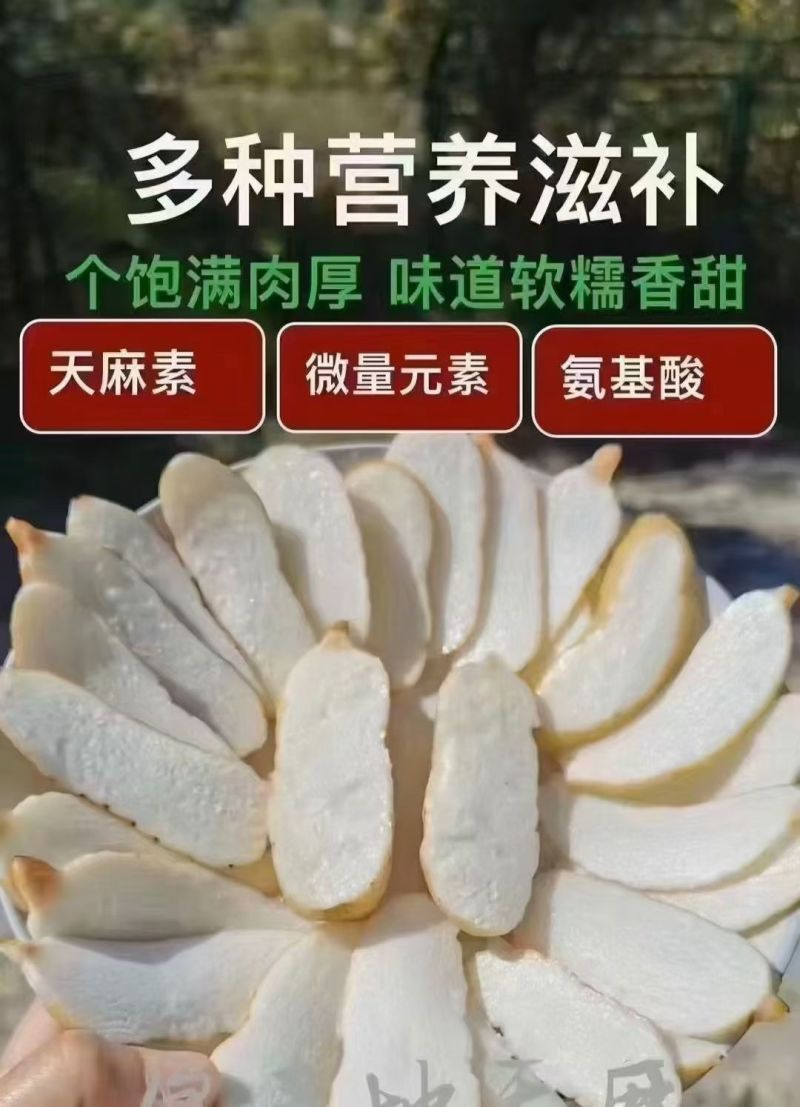 昭通小草坝天麻。