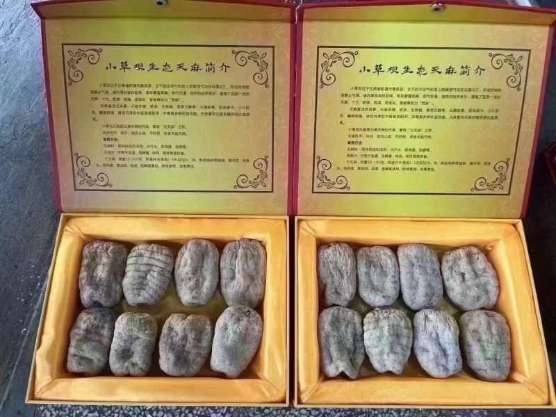 昭通小草坝天麻。