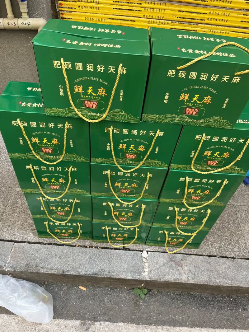 昭通小草坝天麻。
