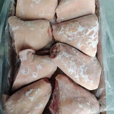 前肘