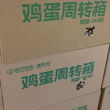 大量生食蛋远方安选鸡蛋进货进多了