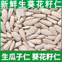 葵瓜子仁，生原料葵瓜子仁食品厂馅料煮粥用，接全平台一件代发