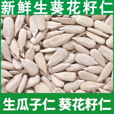 葵瓜子仁，生原料葵瓜子仁食品厂馅料煮粥用，接全平台一件代发