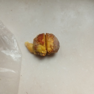 鸡黄