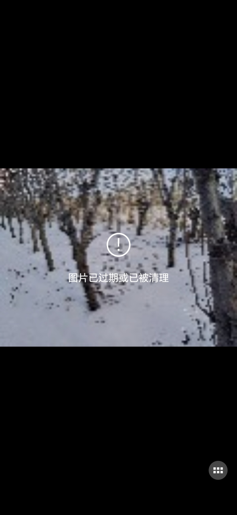 七年李子树，给钱就卖