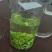 恩施硒茶