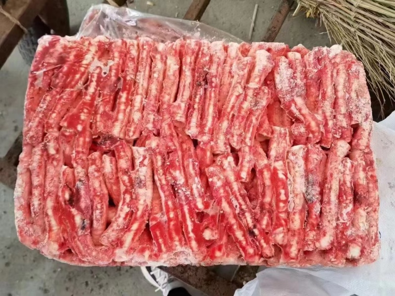 猪气管