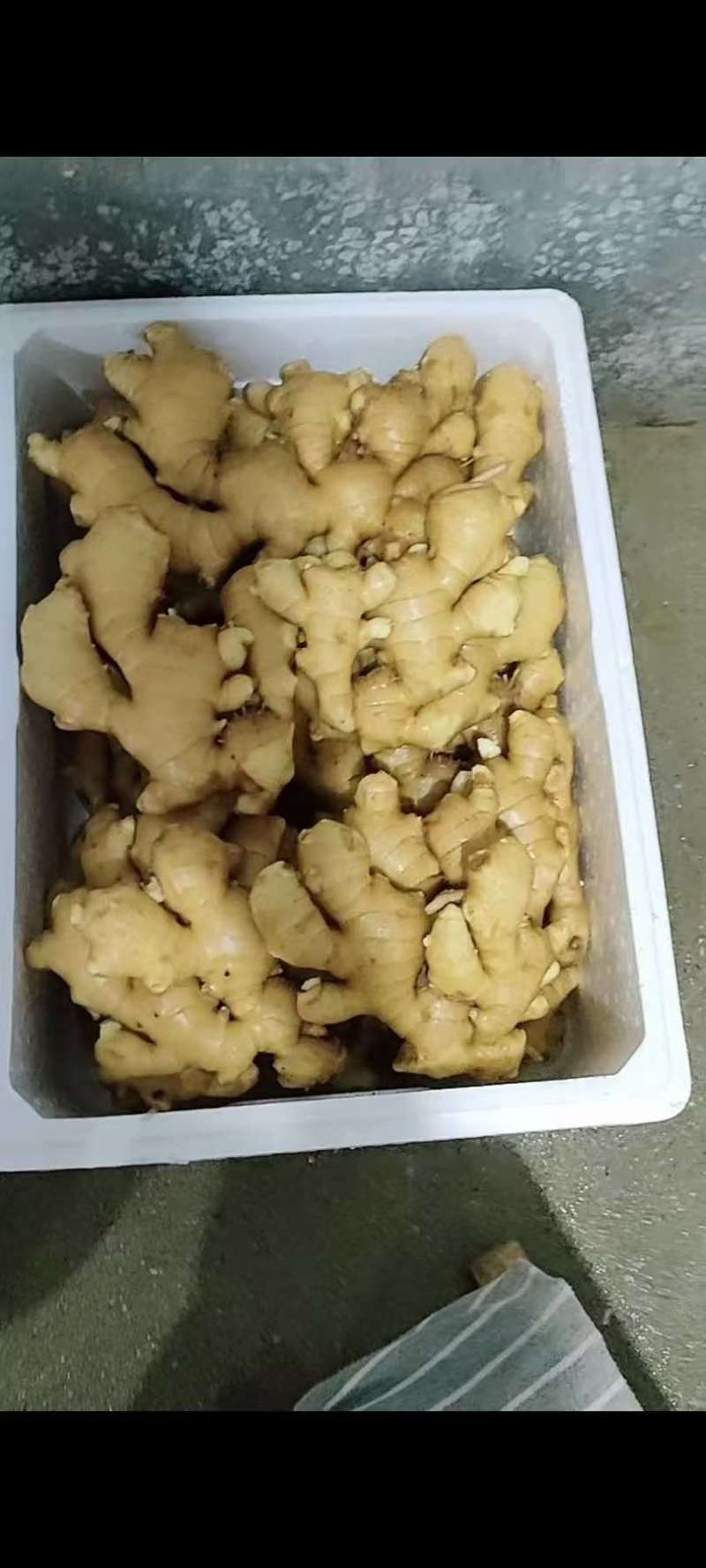 专业生姜代收代办产地直供常年供应，***********