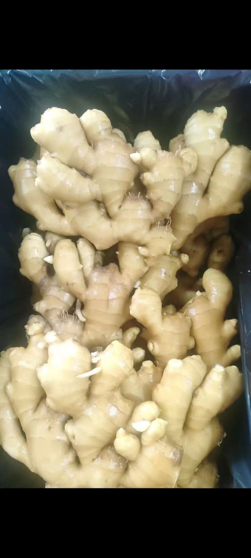 专业生姜代收代办产地直供常年供应，***********