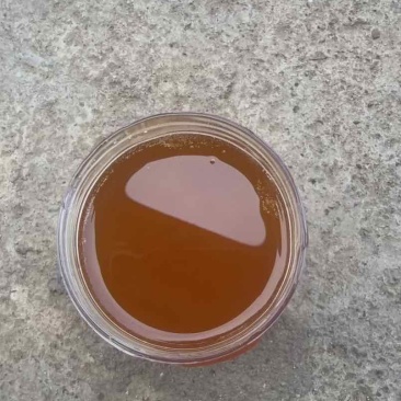 自家养的土蜂蜜