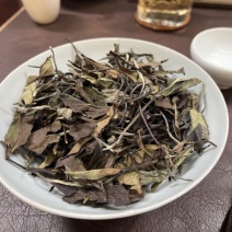 福鼎白茶2020寿眉