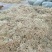贵州产地海花草泥炭藓干货兰花育苗宠物垫材量大从优