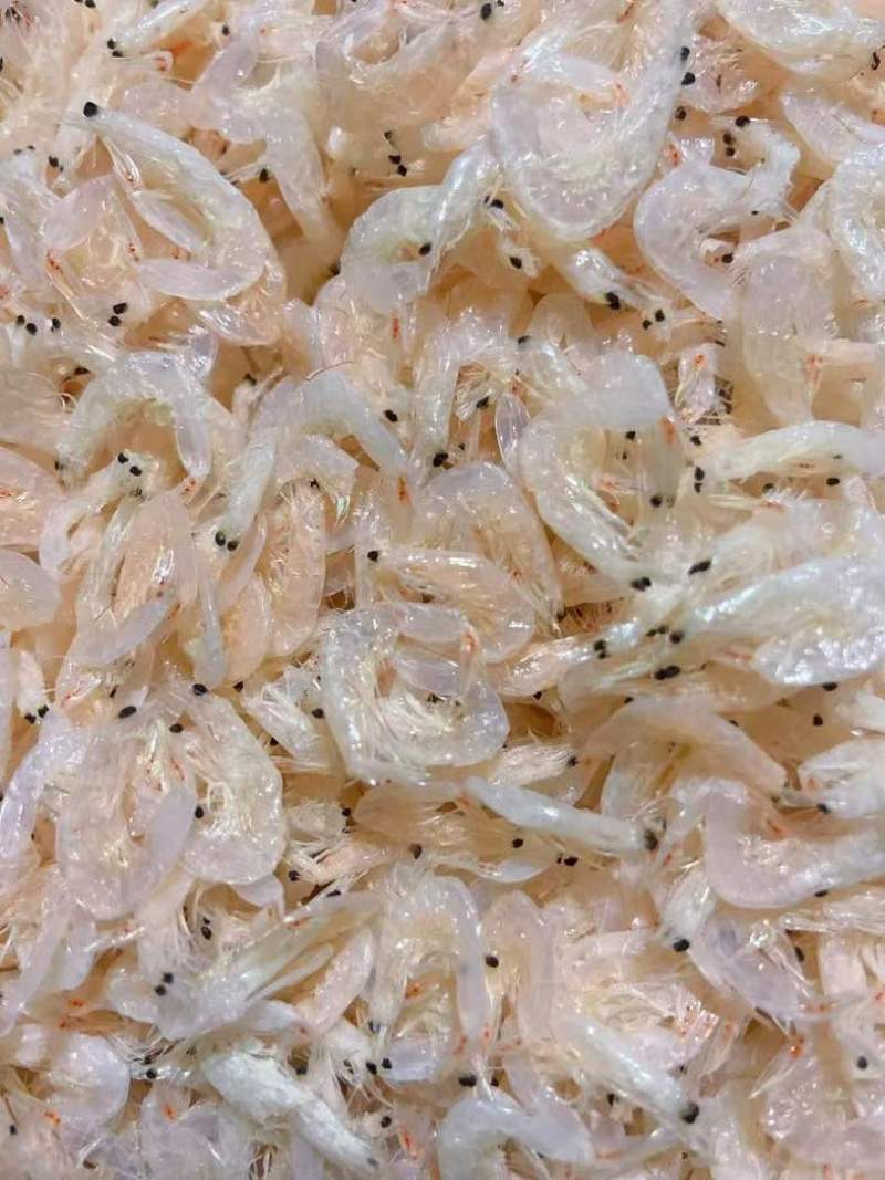淡干虾皮，大虾皮，规格齐全，价优大量批发