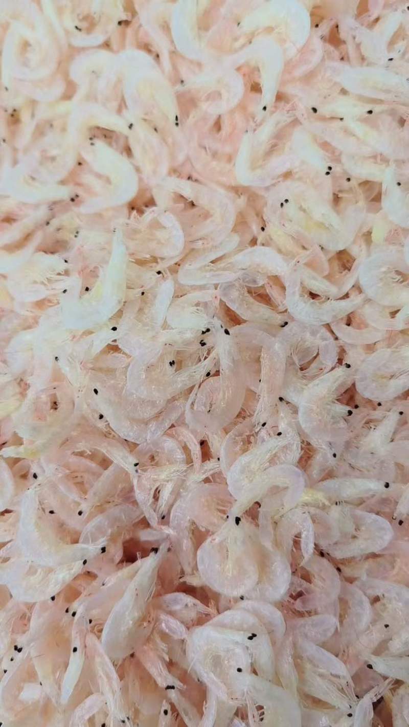 淡干虾皮，大虾皮，规格齐全，价优大量批发
