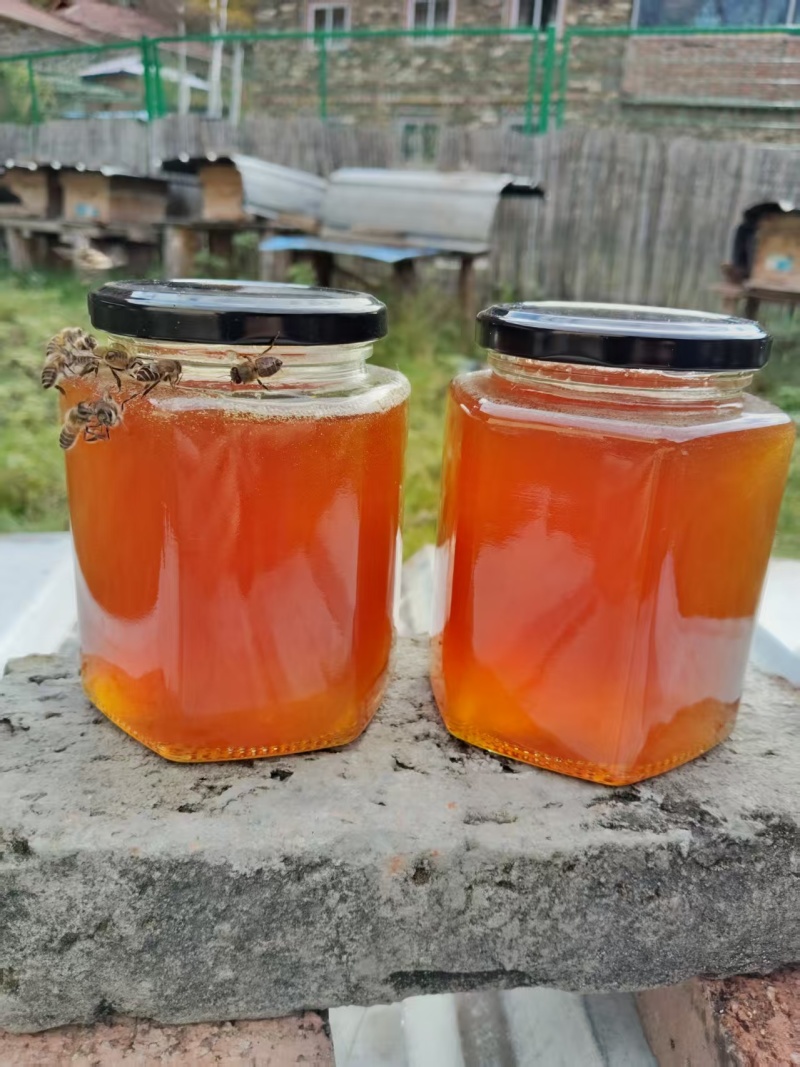 土蜂蜜