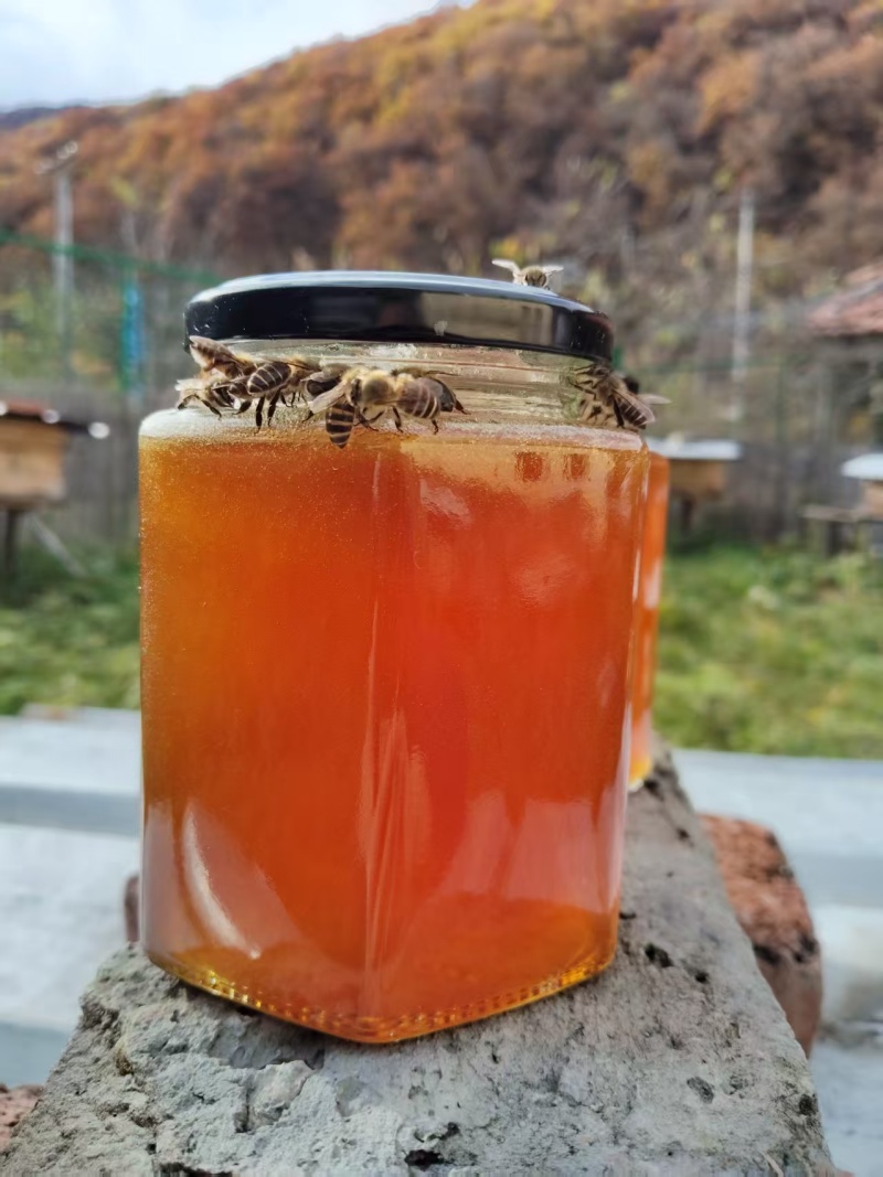 土蜂蜜