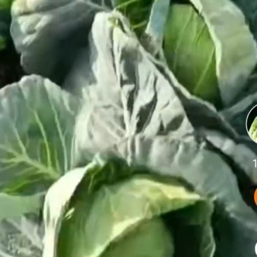 大圆质量保证