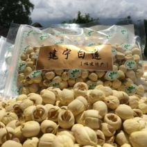 建宁通芯白莲，去芯莲子500克包邮农产品自产自销量大