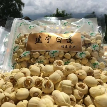 建宁通芯白莲，去芯莲子500克包邮农产品自产自销量大