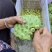 建宁通芯白莲，去芯莲子500克包邮农产品自产自销量大