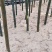 太湖源雷笋