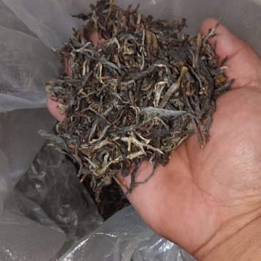 云南普洱毛料