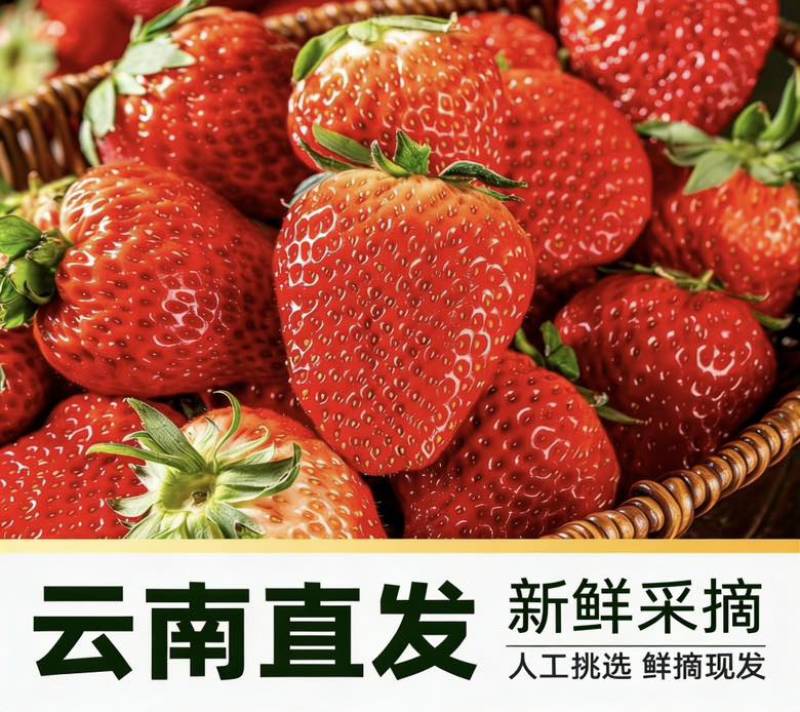 蒙特瑞草莓通货即将大量上市！需要的可以提前预约了！