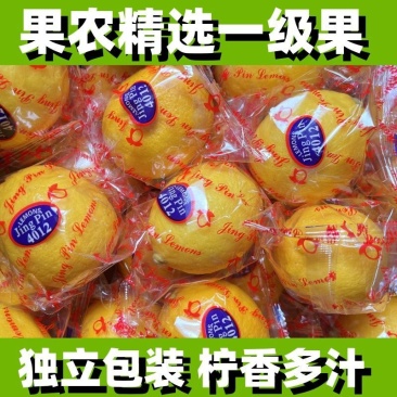 广西香水黄柠檬