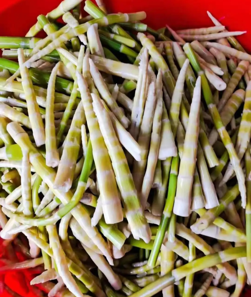 鲜美的野生春笋斑笋没剥好皮的价格7.99