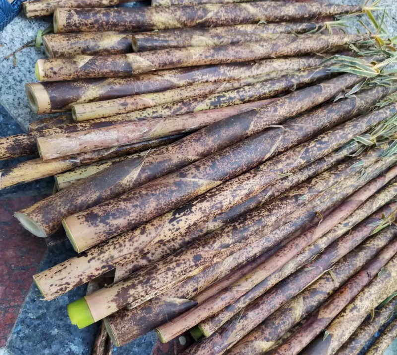 鲜美的野生春笋斑笋没剥好皮的价格7.99
