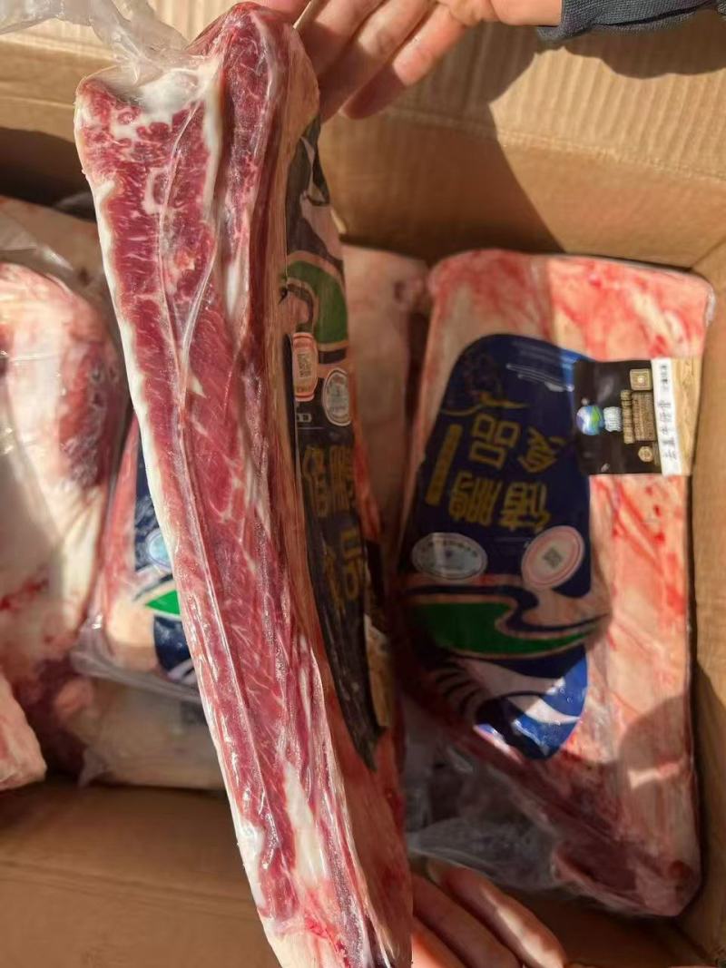 冻品牛肉源头厂家
