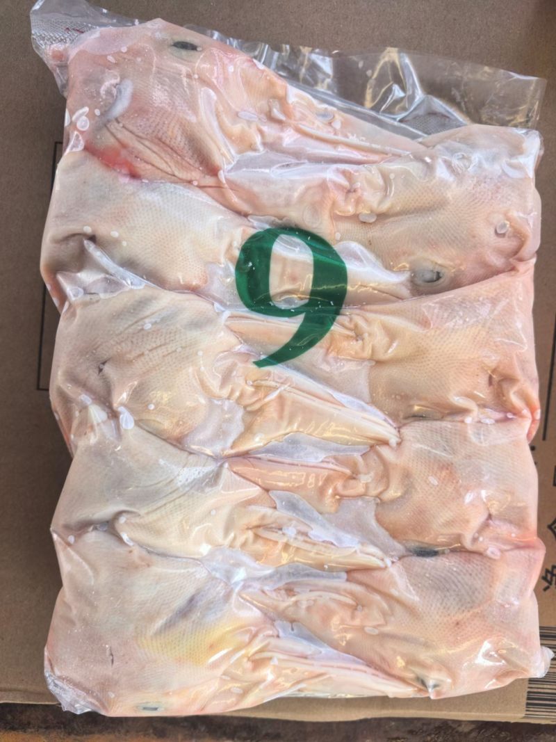 纯肝8头9头