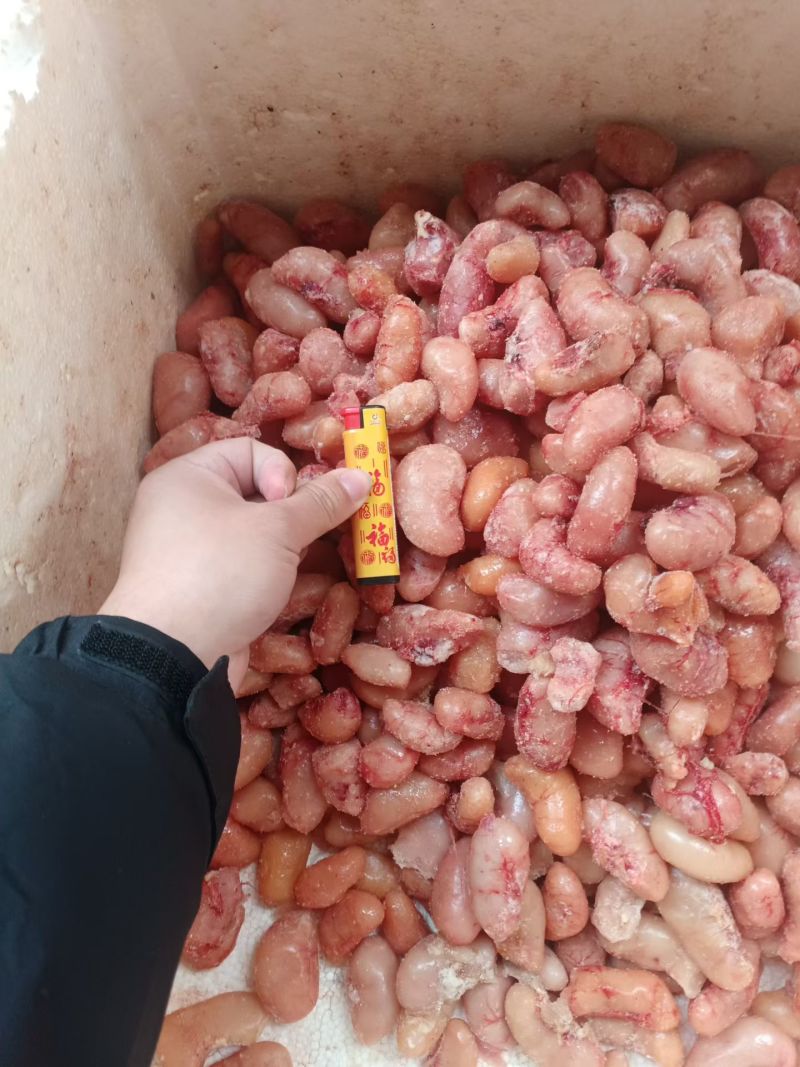 鸡腰子