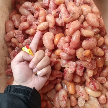 鸡腰子