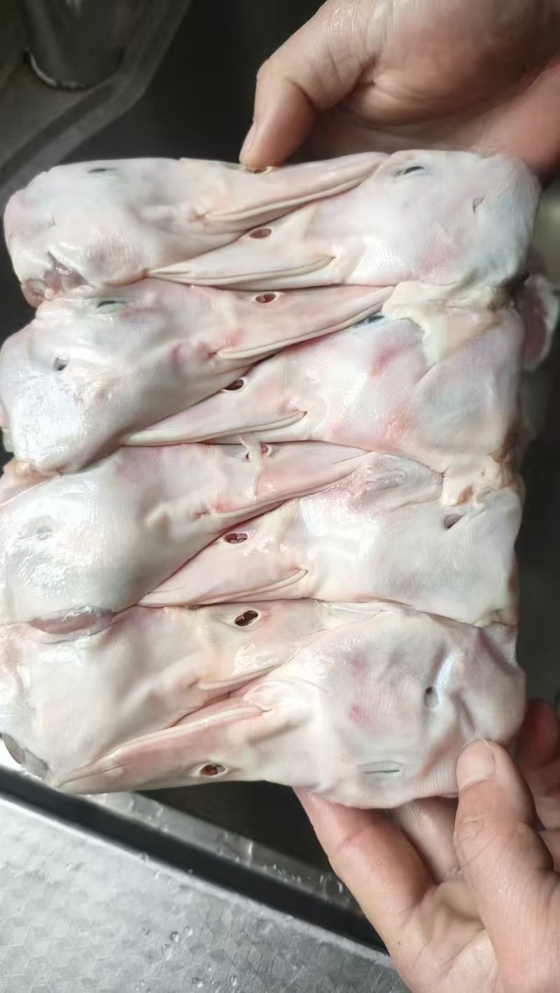 鸭头