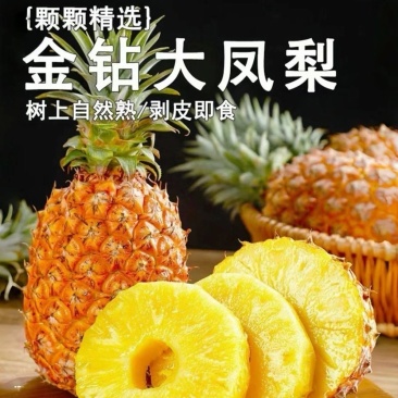 爆甜正宗海南凤梨新鲜水果应季芒果凤梨手撕香水凤梨大果无眼特大