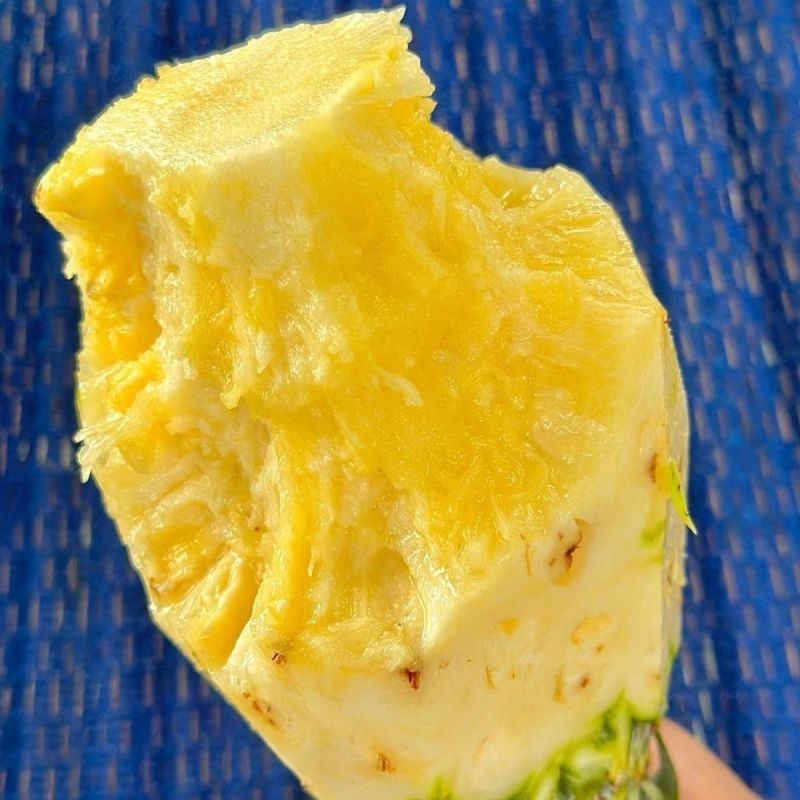 爆甜正宗海南凤梨新鲜水果应季芒果凤梨手撕香水凤梨大果无眼特大
